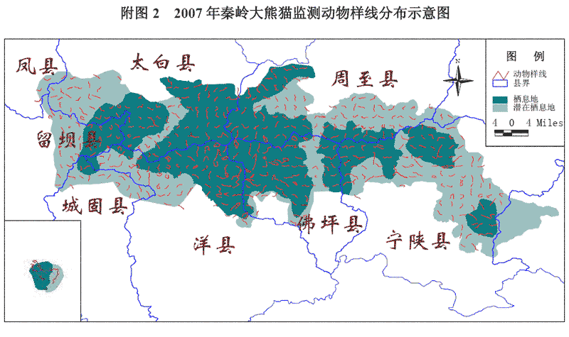 秦岭大熊猫栖息地管理两年大变样